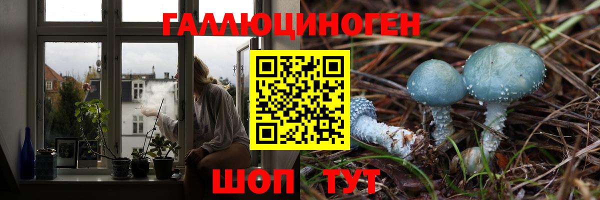 Североуральск  Галлюциногенные грибы Psilocybine cubensis  Вход с VPN  наркота  Галлюциногенные грибы прущие грибы 
